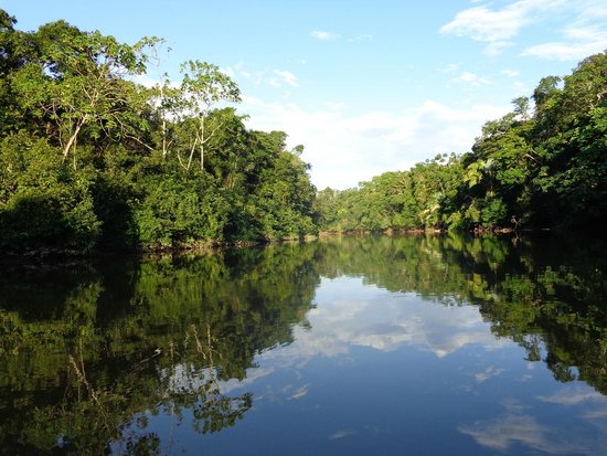 Puerto La Flora