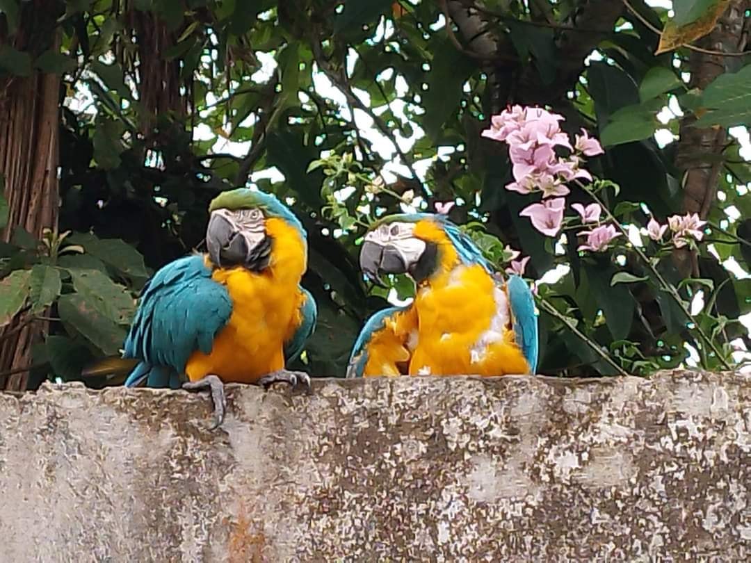 Zoorefugio Tarqui: confluencia de naturaleza y humanos