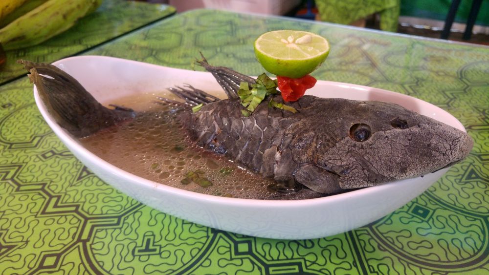 Exóticos sabores del norte amazónico