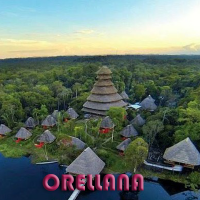 ORELLANA-PORTADA-FINAL ORELLANA-PORTADA-FINAL