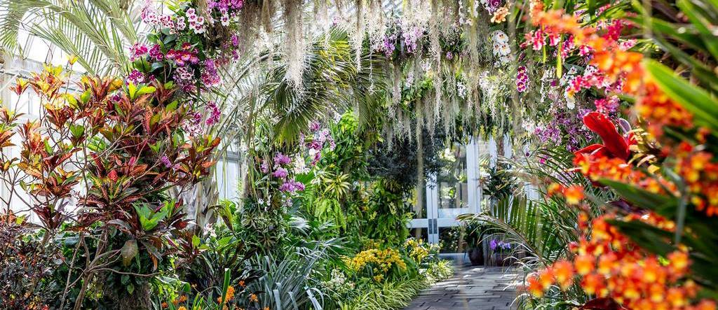 Puyo: capital mundial de las orquídeas