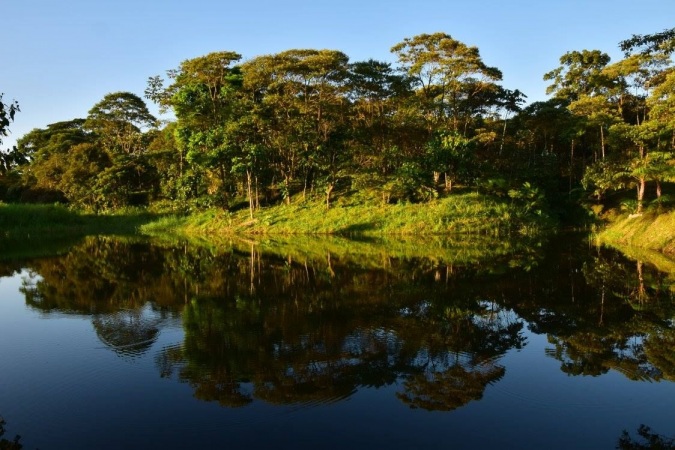 Parque Botanico los Yapas