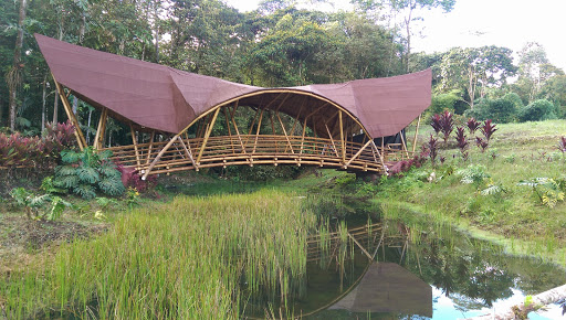 Parque Etnobotánico OMAERE