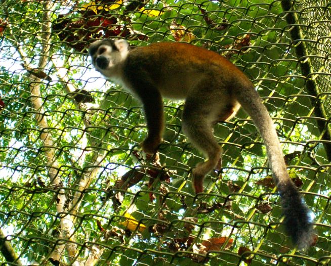 Parque Amazónico La Isla