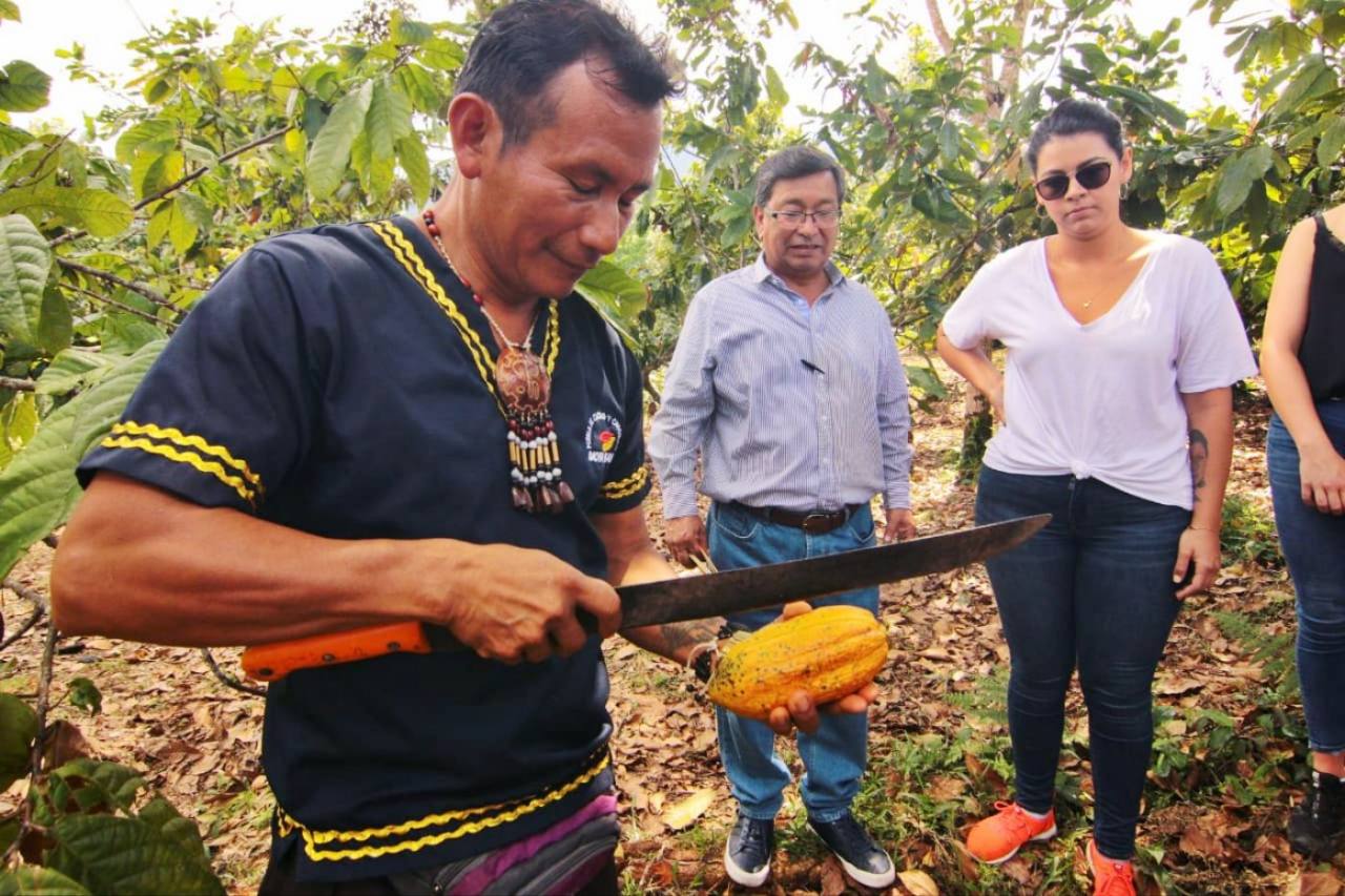 Santa Rita, tierra del cacao fino de aroma