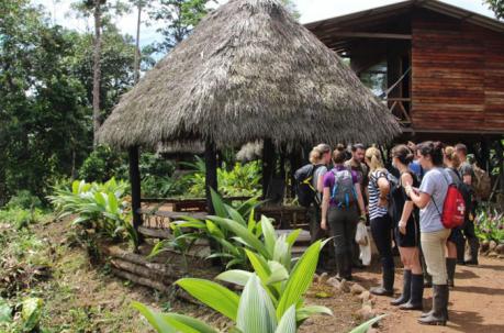 Fincas de Pastaza dejan cultivos por el turismo